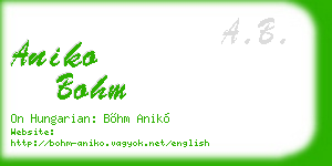 aniko bohm business card